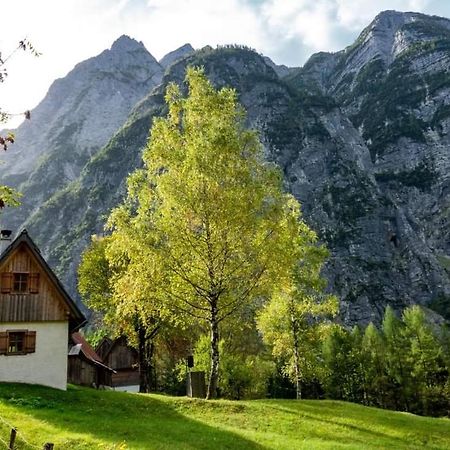 Cottages Kravanja Trenta Zewnętrze zdjęcie
