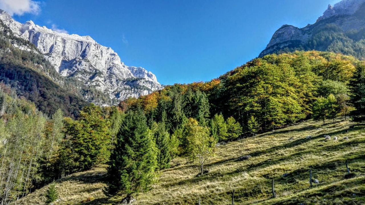 Cottages Kravanja Trenta Zewnętrze zdjęcie