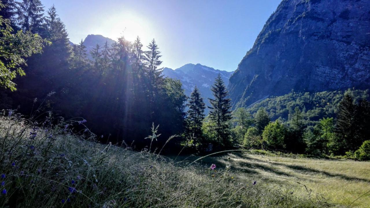 Cottages Kravanja Trenta Zewnętrze zdjęcie