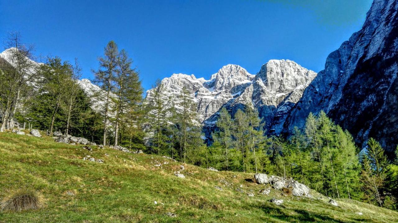 Cottages Kravanja Trenta Zewnętrze zdjęcie