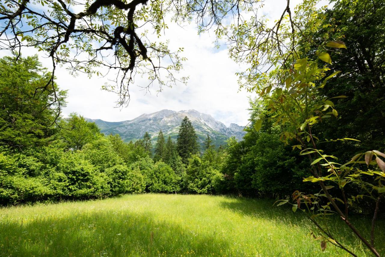 Cottages Kravanja Trenta Zewnętrze zdjęcie