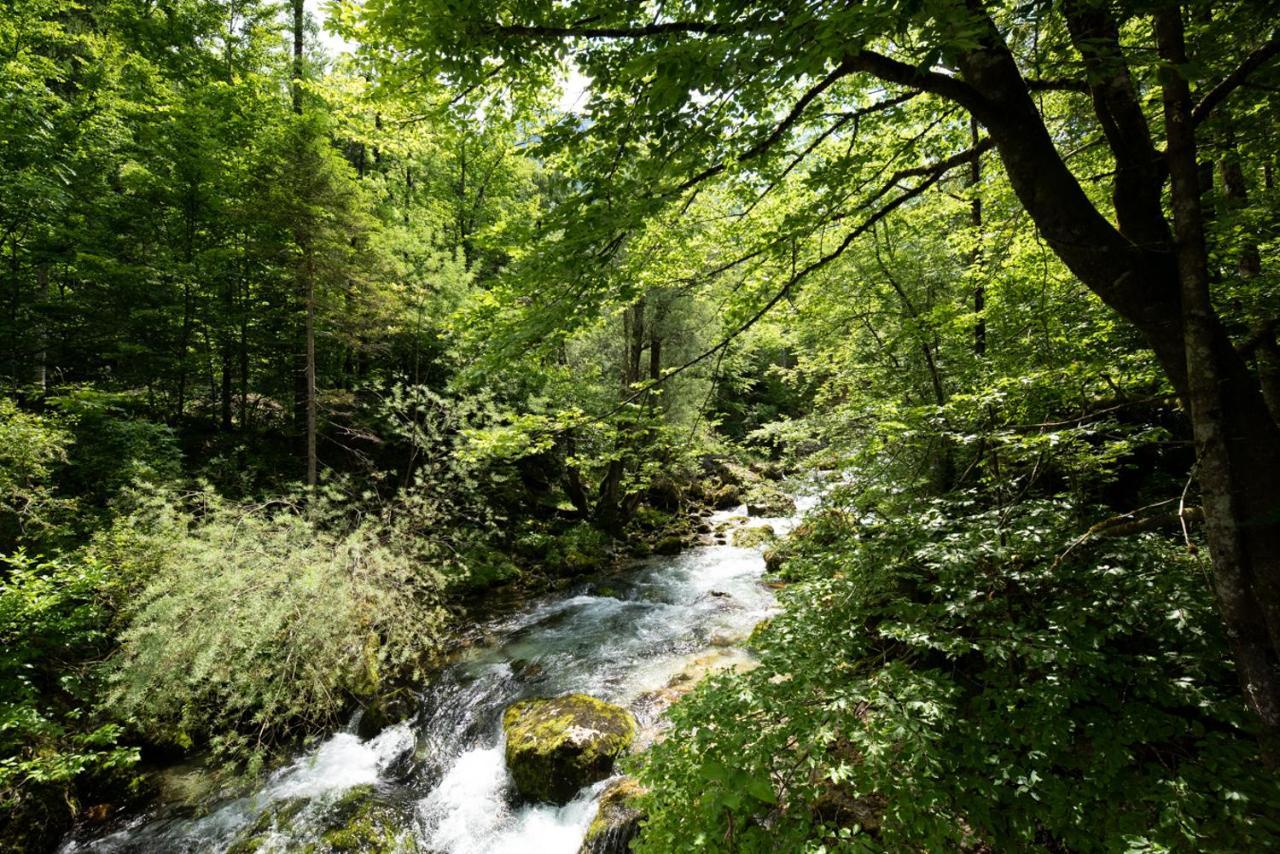 Cottages Kravanja Trenta Zewnętrze zdjęcie