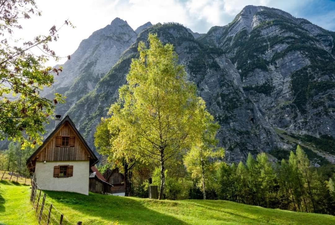 Cottages Kravanja Trenta Zewnętrze zdjęcie